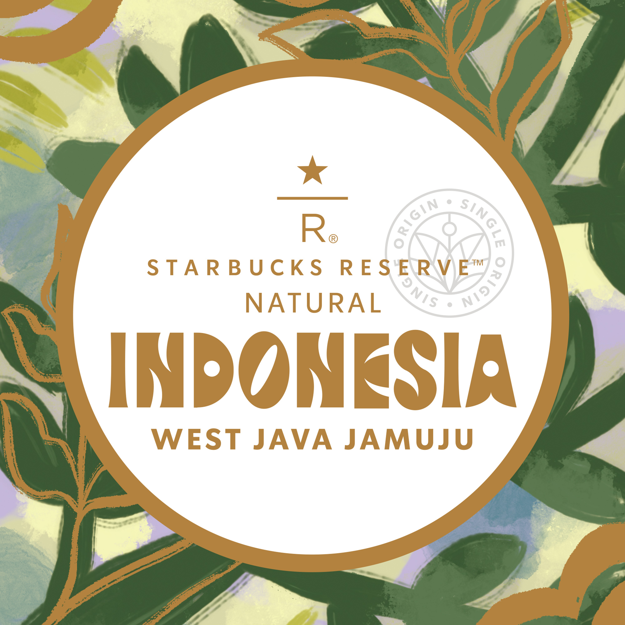 2014 スターバックス米国 エラー WEST JAVA エデュケーションカード 2014 スターバックス米国 エラー WEST JAVA エデュケーションカード