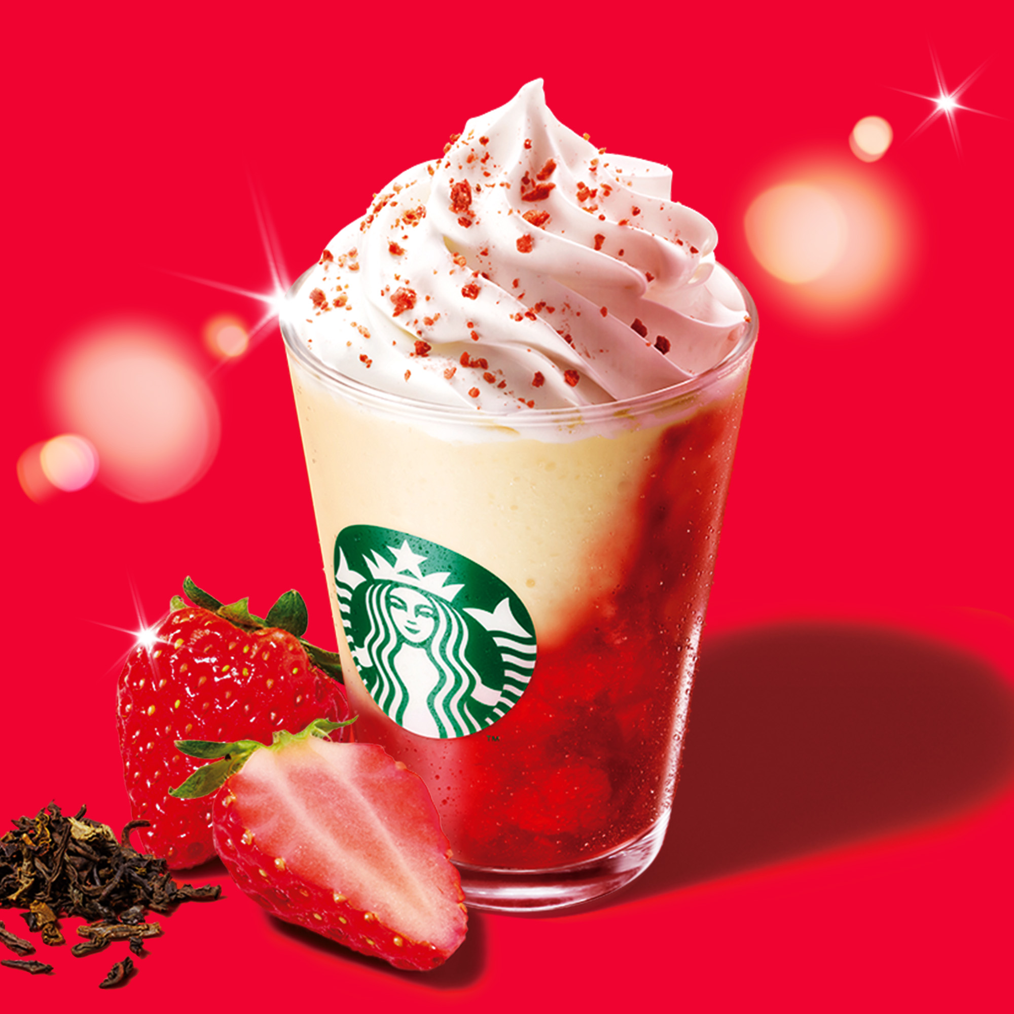 本物スタバメニュー表　値下げ前提 本物スタバメニュー表 値下げ前提