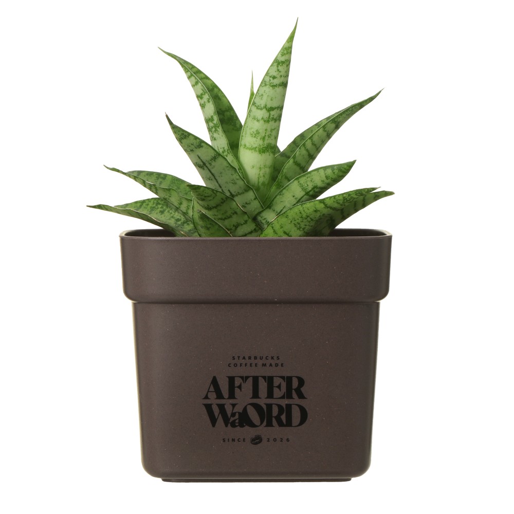 植物は商品に含まれません