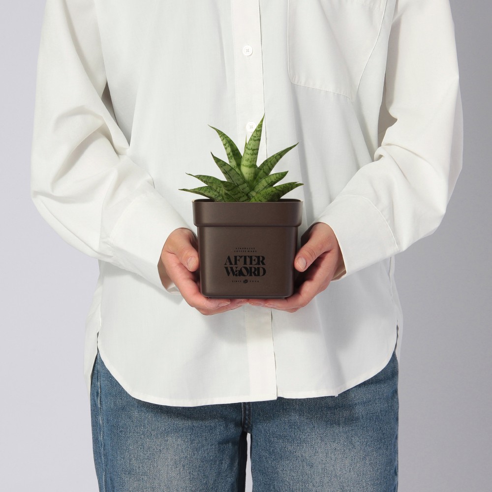 植物は商品に含まれません