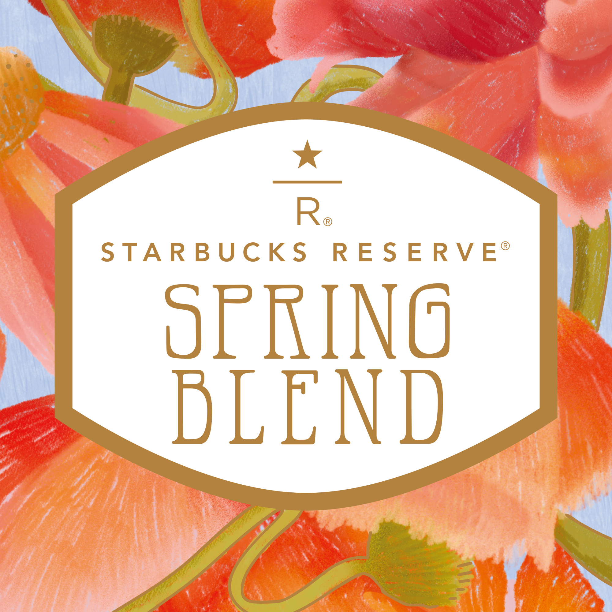 スターバックス　リザーブ コーヒー　コーヒー豆　限定　定価以下　スプリング スターバックス リザーブ® スプリング ブレンド|スターバックス