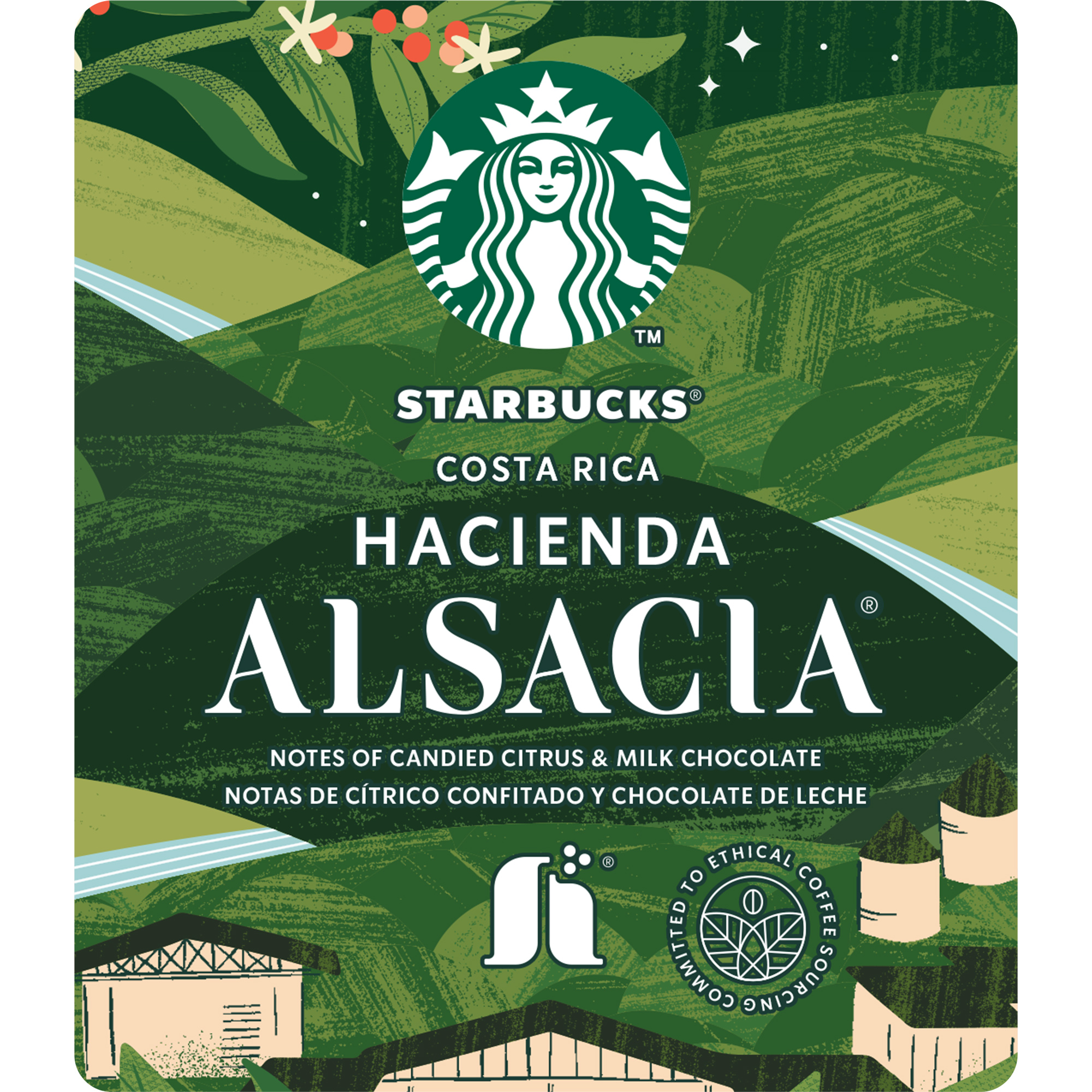 スターバックス® ハシエンダ アルサシア®|SEASONAL COFFEE|seasonal